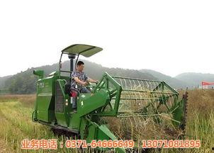 国产杂牌水稻收割机视频,高效便捷的田间利器 第3张 国产杂牌水稻收割机视频,高效便捷的田间利器 第3张