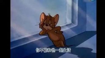 国产动画片揭秘真相视频