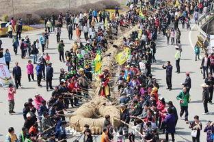 中国国产拔河视频,团结协作，力量与智慧的较量