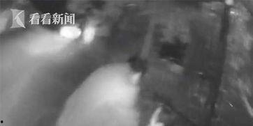 国产女性洗澡视频在线看,揭秘国产女性洗澡视频在线观看现象  第3张