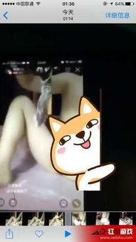 国产黄鳝门视频在线导航,一场网络伦理的警示