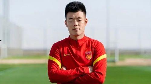 国产前锋谭龙完整视频,国产前锋的进球盛宴