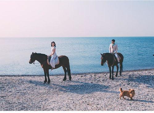 国产网红游艇视频,畅游碧波，尽享奢华时光